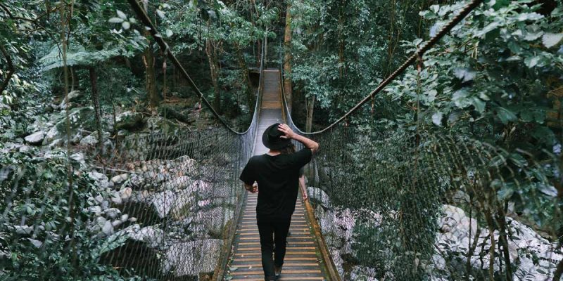 a woman enjoying the scenic walk by the Minnamurra Rainforest Centre in Budderoo National Park