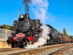 the Kiama Picnic Train