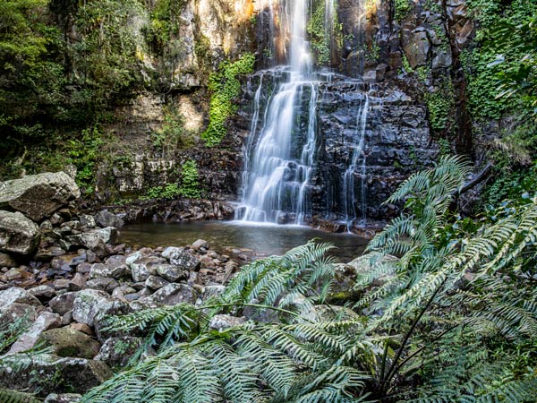the scenic Minnamurra Falls in Minnamurra Rainforest Centre, Jamberoo