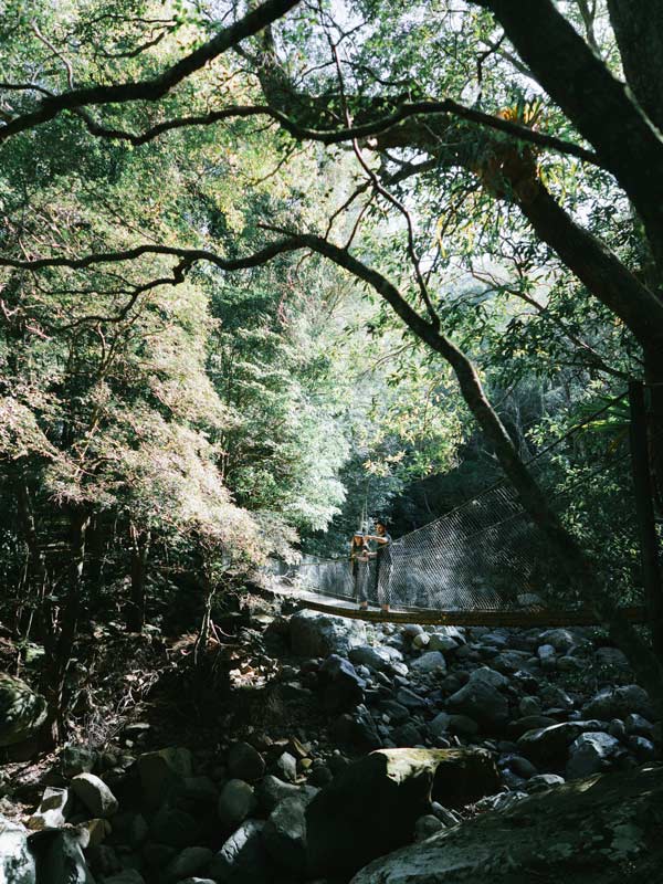 a couple enjoying the scenic walk by the Minnamurra Rainforest Centre in Budderoo National Park