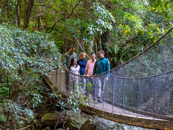a group of people enjoying a visit to the Minnamurra Rainforest in Budderoo National Park, Jamberoo