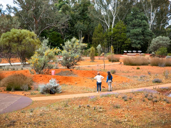 two people standing at National Botanic Gardens, Canberra