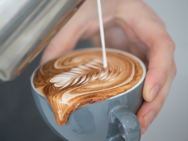 a hand pouring milk over a cup of coffee at Padre Coffee