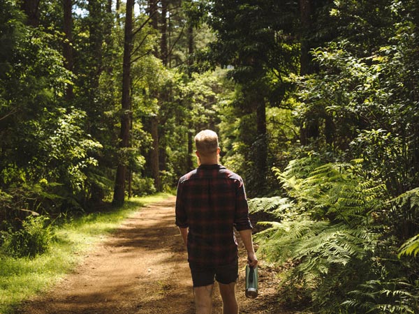 a guy strolling along the forest, Unyoked Jojo