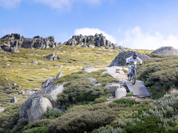 a biker navigating the verdant landscape in Thredbo MTB