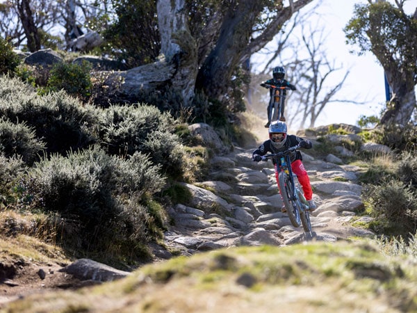 bikers passing through a grassy terrain at Thredbo MTB