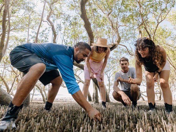 guests exploring the mangroves during a Bart Pigram tour 