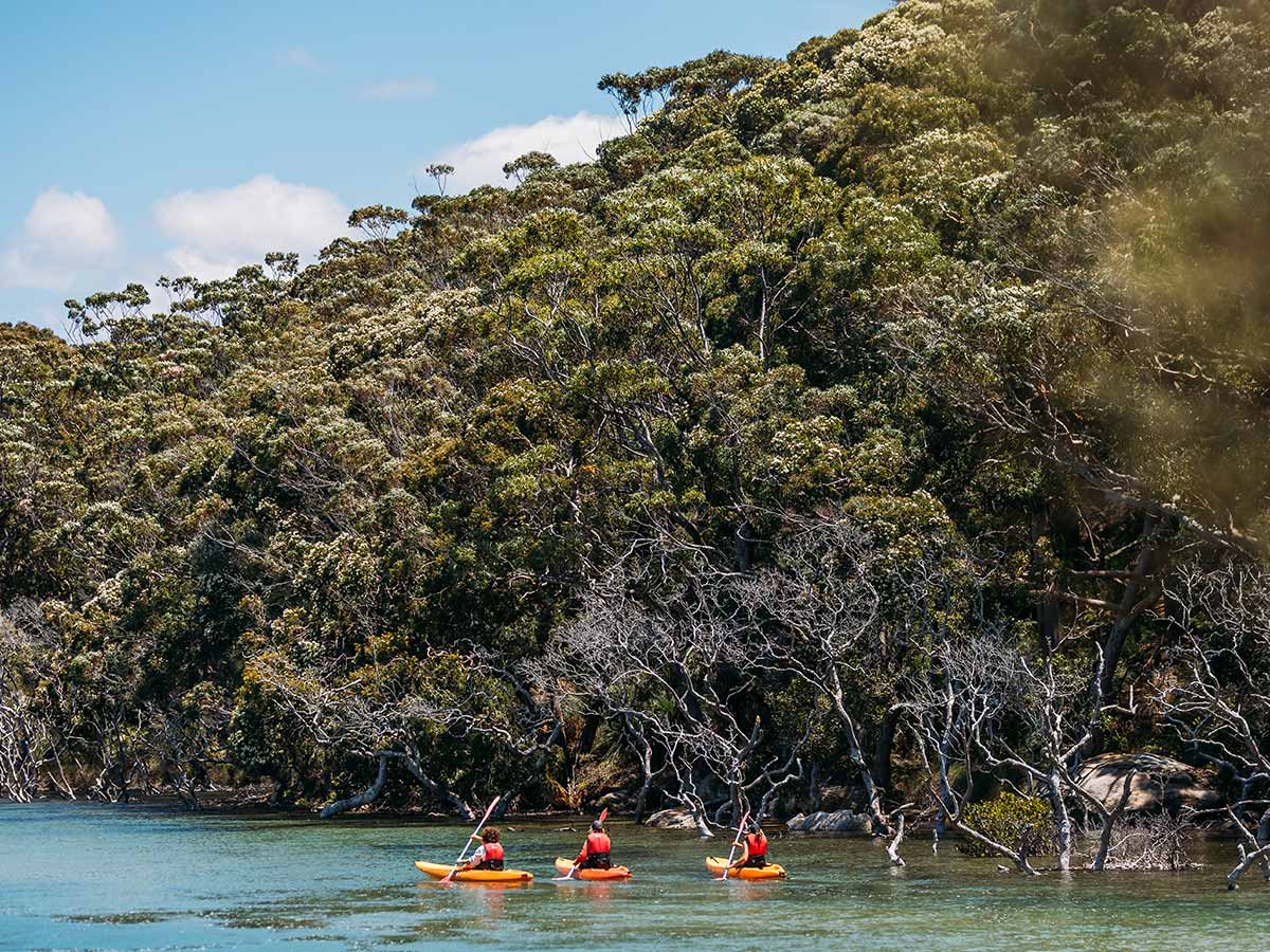 bundeena kayaks group exploring sutherland shire