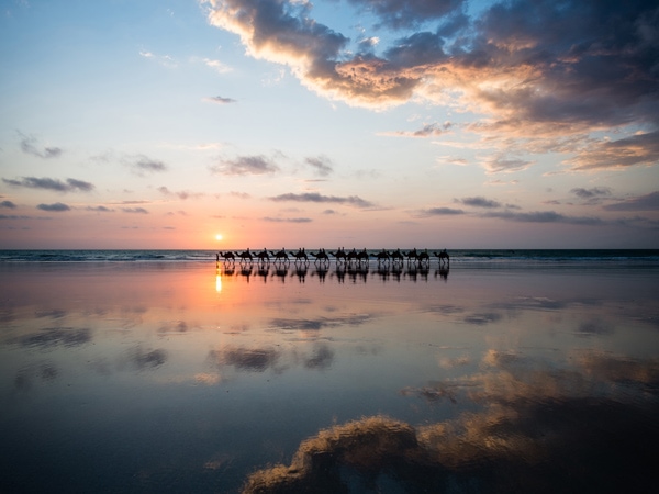 camels on Cable Beach, Broome