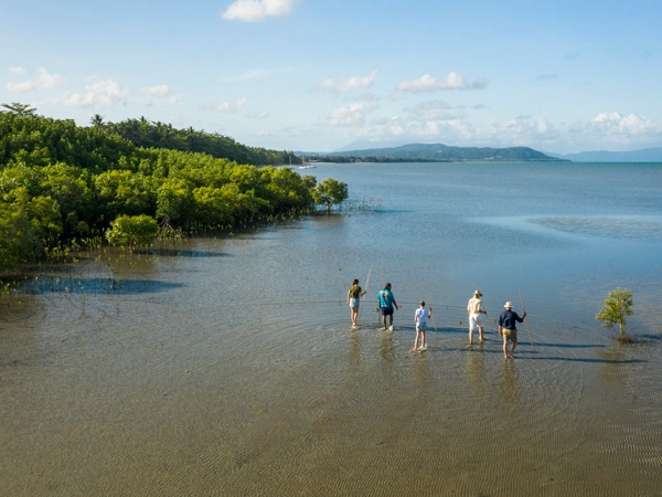 an aerial view of guests exploring the mudflats of Cooya Beach with a Kuku Yalanji custodian