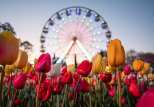 Floriade in Canberra