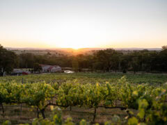 Winburndale Wines in Bathurst, NSW