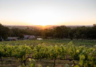 Winburndale Wines in Bathurst, NSW