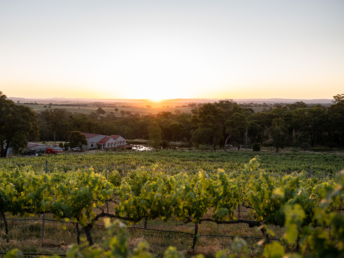 Winburndale Wines in Bathurst, NSW