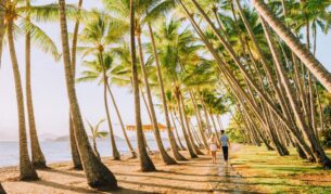 Williams Esplanade Palm Cove