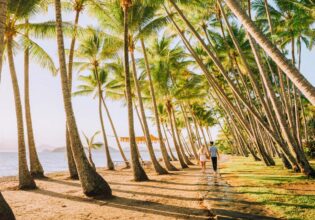 Williams Esplanade Palm Cove