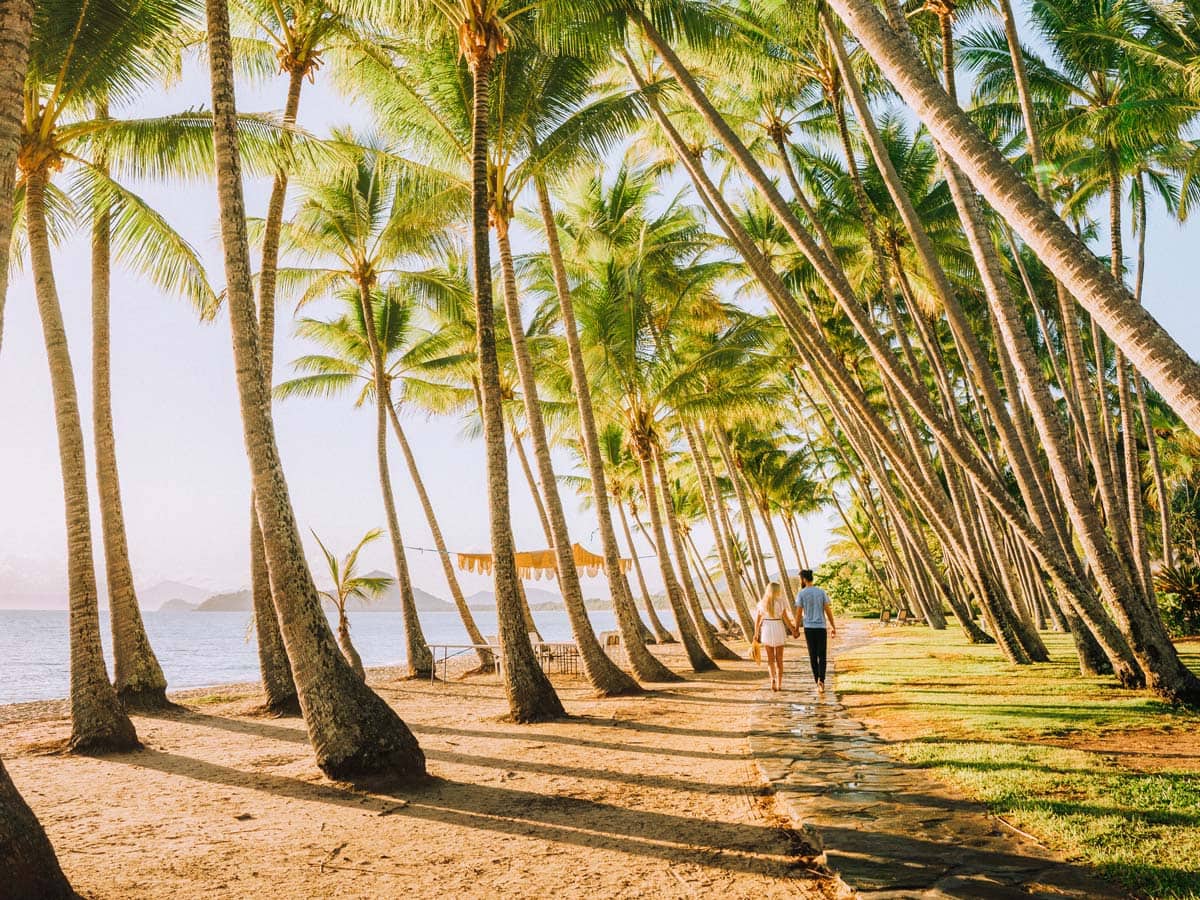 Williams Esplanade Palm Cove