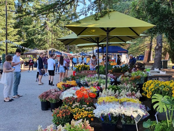 market stalls selling flowers along Haig Park Village Markets, Canberra