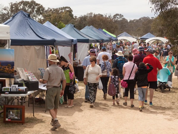 people strolling around the stalls at Hartley Hall Markets, Canberra