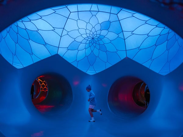 Arborialis, Illuminate Adelaide in SA