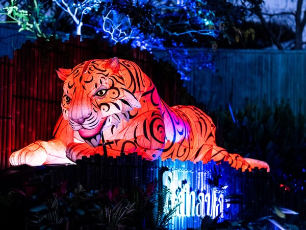 Light Creatures, Illuminate Adelaide in SA
