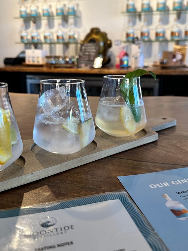 gin selection at Moontide Distillery, Broome
