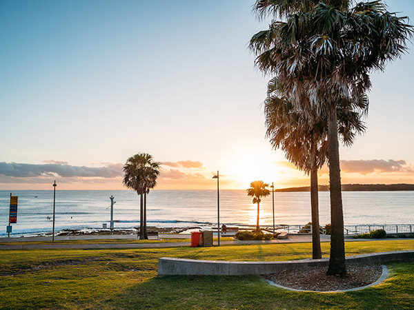 oak park in crunulla sydney at sunset