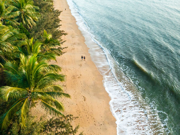 Palm Cove Beach aerial