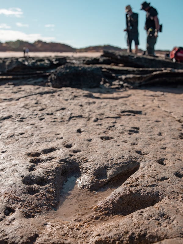 dinosaur Footprints at Reddell Beach, Broome