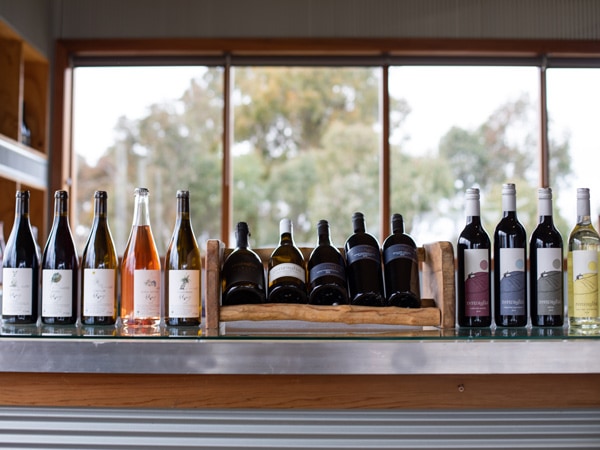 a display of wine bottles at Renzaglia Wines