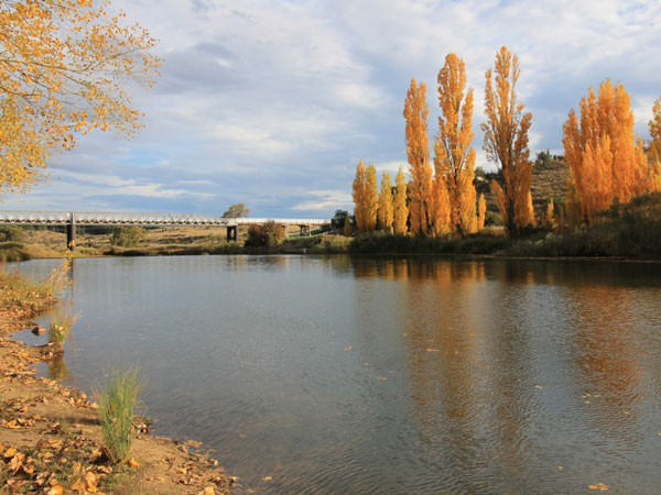 Snowy River Holiday Park in Dalgety, NSW