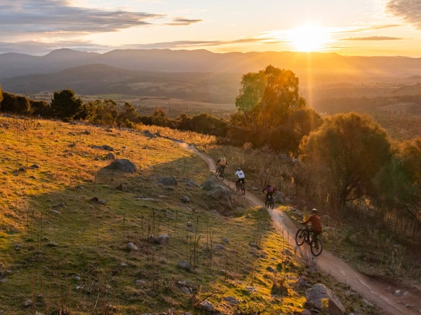 bikers cycling at Stromlo Forest Park