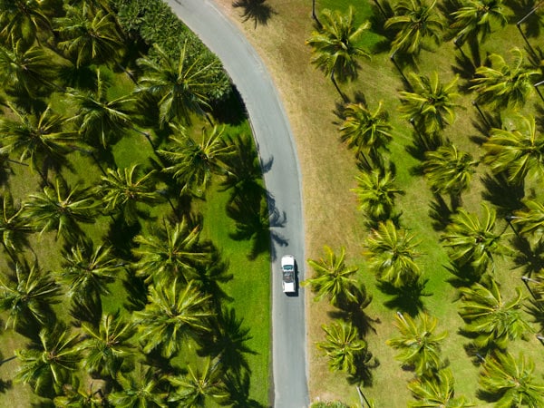 an overhead shot of Thala Beach Nature Reserve, Cairns
