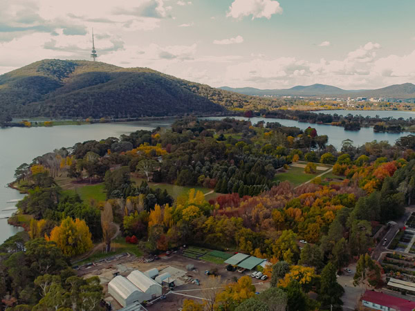 an aerial view of Weston Park in Canberra