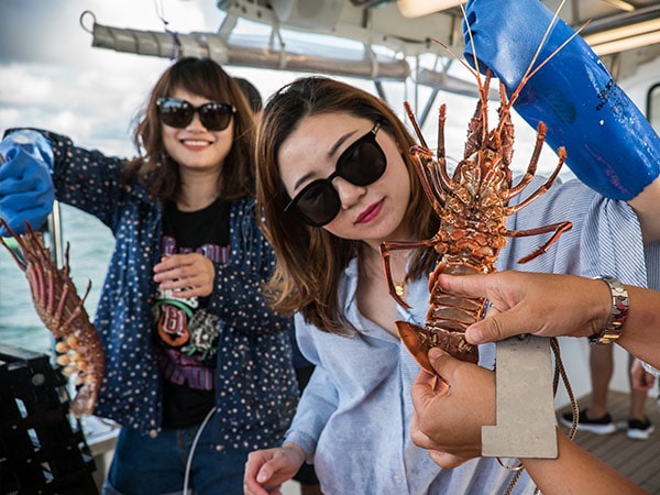 Mandurah Cruises’ Wild Seafood Experience