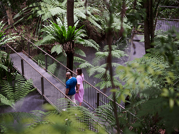 Australian National Botanic Gardens Walk