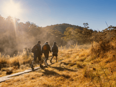 Canberra walks