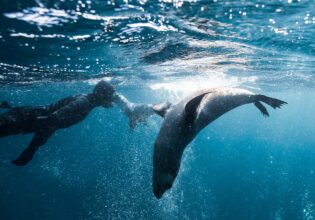 The 16 best things to do in Batemans Bay
