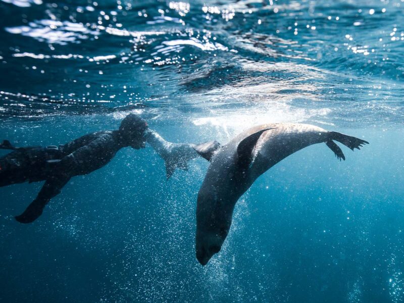 16 Best Things To Do in Batemans Bay Australian Traveller