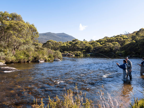 Thredbo River Fly Fishing, Snowy Mountains