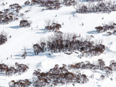 People skiing down the slopes of Thredbo.