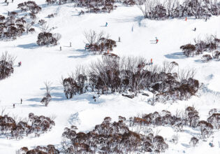 People skiing down the slopes of Thredbo.
