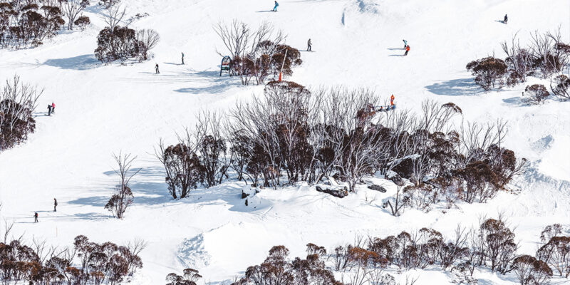 People skiing down the slopes of Thredbo.