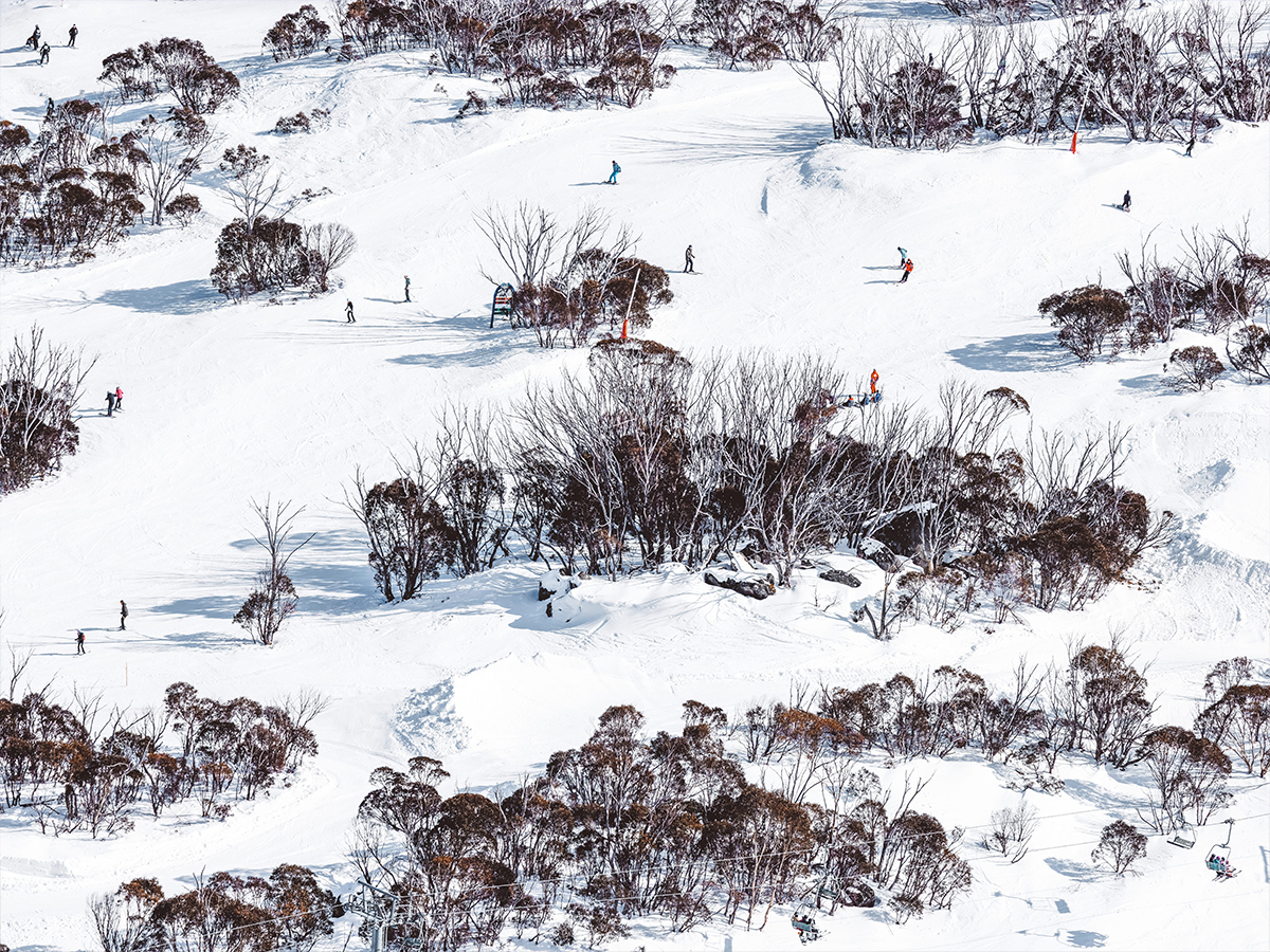 People skiing down the slopes of Thredbo.