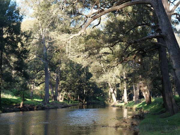 a river surrounded by trees at Camp Crudine
