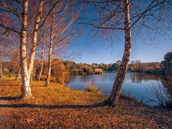 a sunny winter day in the lake