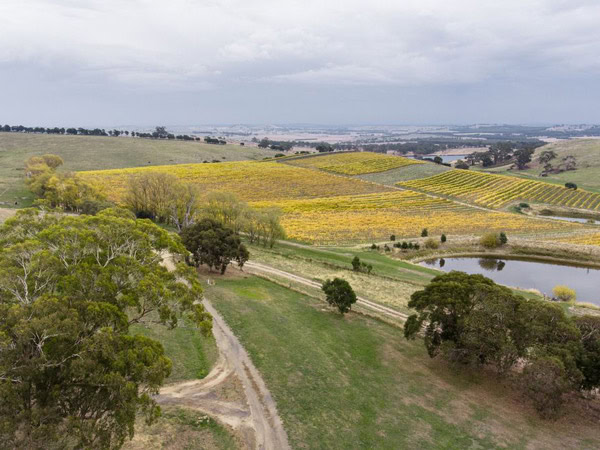 a scenic landscape of the vineyard at Granite Hills Wines