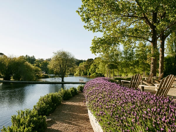 purple flowers blooming around Lake Daylesford Park