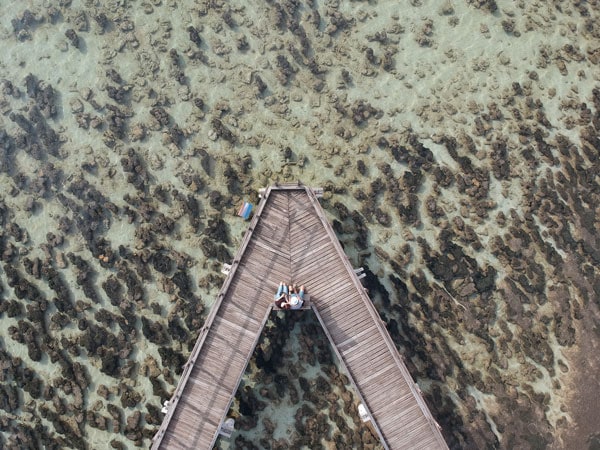 stromatolites at Hamelin Pool