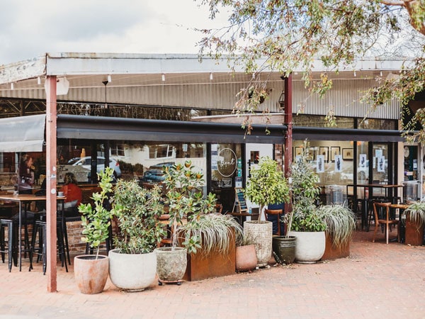potted plants outside The Front Café and Gallery, Canberra